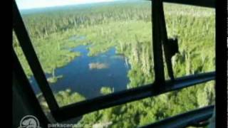 Worlds Largest Beaver Dam [upl. by Ahsinot]