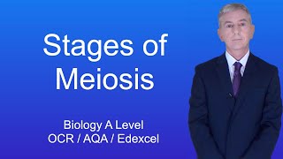 A Level Biology Revision quotStages of Meiosisquot [upl. by Esirehs]