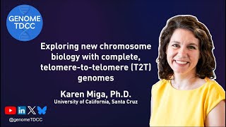 Exploring new chromosome biology with complete telomeretotelomere T2T genomes [upl. by Sayres]