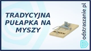 Pułapka na myszy AROX Łapka na myszy Jak pozbyć się myszy [upl. by Alag]