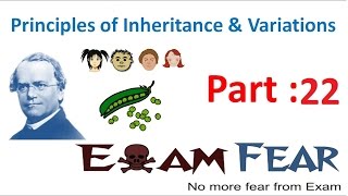 Biology Inheritance Principle part 22 Behaviour of Chromosomes during meiosis class 12 XII [upl. by Thanh]