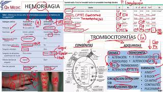 Hematología Fisiología II  QX MEDIC 2022 [upl. by Delisle633]