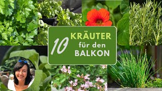 10 Kräuter Klassiker für den Balkon  die beliebtesten Kräuter für Töpfe und Balkonkästen [upl. by Adorl]