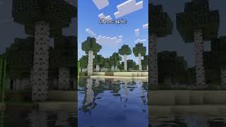 The BEST Minecraft Shader Packs for 121 [upl. by Adelheid123]