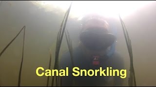 Snorkelen in de sloot  Snorkling in the canal [upl. by Marlyn]