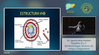 Módulo II  Hepatitis B y C Epidemiología factores de riesgo y diagnóstico [upl. by Norina]