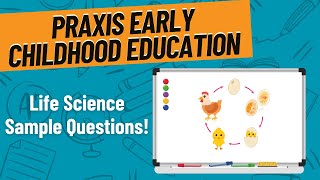 Life Science Practice Questions for Praxis Early Childhood Education 5025 [upl. by Neehsuan612]