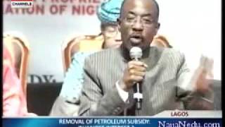 Subsidy Debate  Sanusi Lamido Sanusi [upl. by Hatfield597]