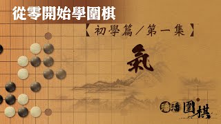 【從零開始學圍棋】 初學1 【氣】 [upl. by Bartolemo45]