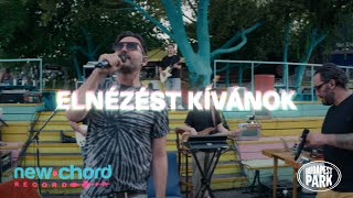 Punnany Massif x Budapest Park  Elnézést kívánok live session [upl. by Egoreg]