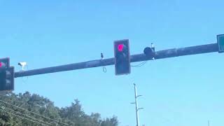 Traffic Lights  Falkenburg Rd and Columbus Dr  Tampa FL [upl. by Artsa]