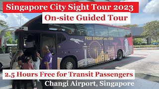 Free Singapore City Sight Tour  Changi Airport Singapore  25 Hours for Transit Passengers [upl. by Poucher]