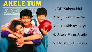 Akele Hum Akele Tum Movie All Songs Aamir Khan amp Manisha Koirala HINDI MOVIE SONGS [upl. by Yaras172]