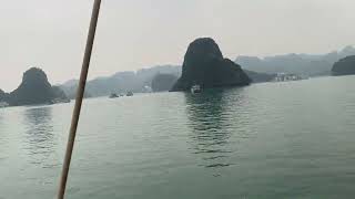 Halong Bay Exploration Navigating the Jewel of Vietnam [upl. by Farley]