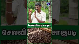 செலவே இல்லாம ஜாதிக்காய் பண்ணலாம்  Nutmeg cultivation  Jathikkai vivasayam nutmeg jathikkai [upl. by Vernen38]