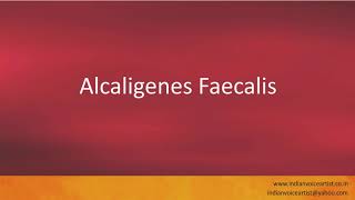 Pronunciation of the words quotAlcaligenes Faecalisquot [upl. by Yelnahs]