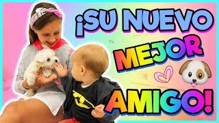 🐶 AMPLIAMOS LA FAMILIA😍 Familia Carameluchi 👨‍👩‍👧‍👦 [upl. by Goeger]