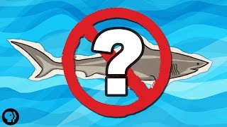 What If There Were No Sharks [upl. by Thorrlow]