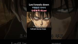 How Levi joined the Survey Corps 무릎꿇은 리바이 ひざまずいたLevi [upl. by Stempson404]