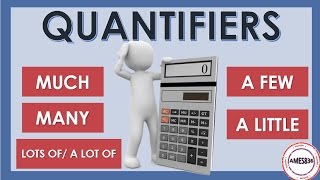 Quantifiers  English Grammar [upl. by Schweiker569]