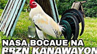 Kanawayon day Ba ngayon RRZN line napunta sa Bocaue pet marker [upl. by Felty990]