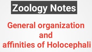 General organization and affinities of holocephali [upl. by Nodnek]