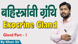 Exocrine Gland  Liver  Gland  बहिर्स्रावी ग्रंथि  जिगर  Part  1  Khan GS Research Center [upl. by Derek]