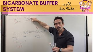 Bicarbonate Buffer System [upl. by Griffis]