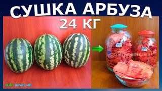 Сушка арбуза – 24 кг [upl. by Collayer749]