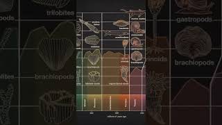 Une découverte majeure au Maroc univers histoire terre titans [upl. by Kiker]