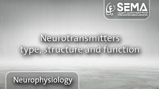 Neurotransmitters type structure and function  الدكتورة ولاء السليقي [upl. by Adnohs734]