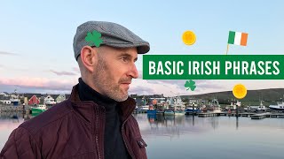 Basic phrases in Irish language [upl. by Salzhauer]