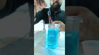 Copper Sulphate vs IRON class10 experiment science shorts sjw chemical shortsvideo [upl. by Woolcott]