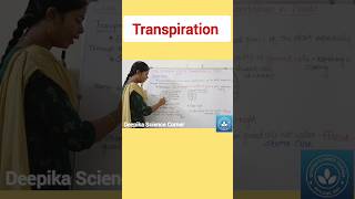 Transpiration class10science deepikasciencecorner transpiration science biology stomata leaf [upl. by Lem]