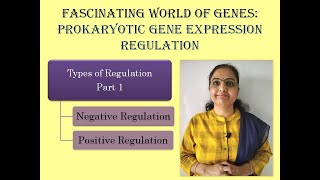 Prokaryotic Gene Expression RegulationTypes of RegulationNegative RegulationPositive Regulation [upl. by Meeki]