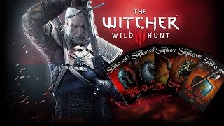 The Witcher  Storyzusammenfassung der HexerRomane [upl. by Sira]