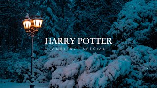 WINTER WITH HARRY POTTER AMBIENCE VIBES [upl. by Martyn]