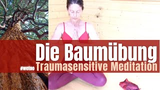 Emotionsregulation quotBaumübungquot n Luise Reddemann amp Traumasensitives Yoga Entwicklungstrauma KPTBS [upl. by Etnoel313]