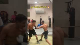 🔴BOXE QUI VEUT JOUER  🔴 boxing [upl. by Yevol]