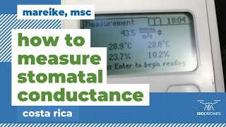 Isodrones  How to measure stomatal conductance [upl. by Leahcam]