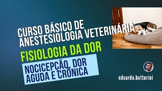 Aula 6  Fisiologia da dor aguda e crônica e nocicepção Curso básico de anestesiologia veterinária [upl. by Eesac]