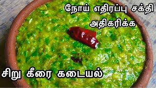 Siru Keerai Kadayal  நோய் எதிர்ப்பு சக்தியை அதிகரிக்கும் சிறு கீரை  Siru Keerai Masiyal Recipe [upl. by Anoerb]