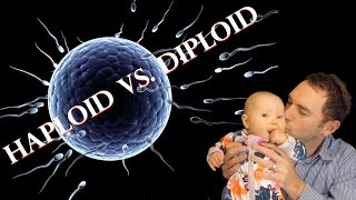 Haploid vs Diploid  James Dundon [upl. by Odranar89]