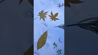 Herbarium sheet Ayurvedic medicinal plants [upl. by Samal]