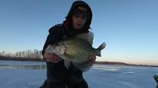 On The Hunt For A Minnesota Trophy Crappie [upl. by Talmud]