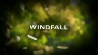 NBC quotWindfallquot Main Title [upl. by Ynaffital]