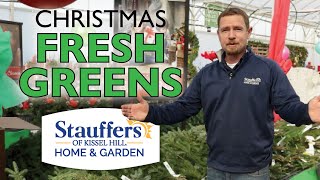 MUSTHAVE Christmas Fresh Greens  Stauffers of Kissel Hill [upl. by Zel]