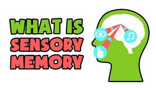 What is Sensory Memory  Explained in 2 min [upl. by Caleb]