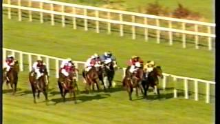 2000  Leopardstown  Killavullan Stakes G3  Perigee Moon [upl. by Ahseila]