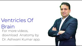 Ventricles of Brain  Anatomy by Dr Ashwani Kumar [upl. by English]